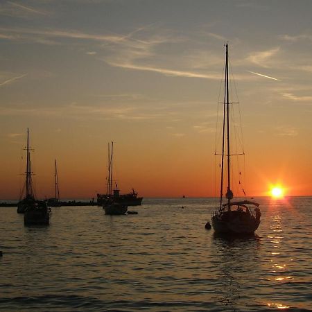Tamaris, 600 M From The Beach Novigrad Istria المظهر الخارجي الصورة