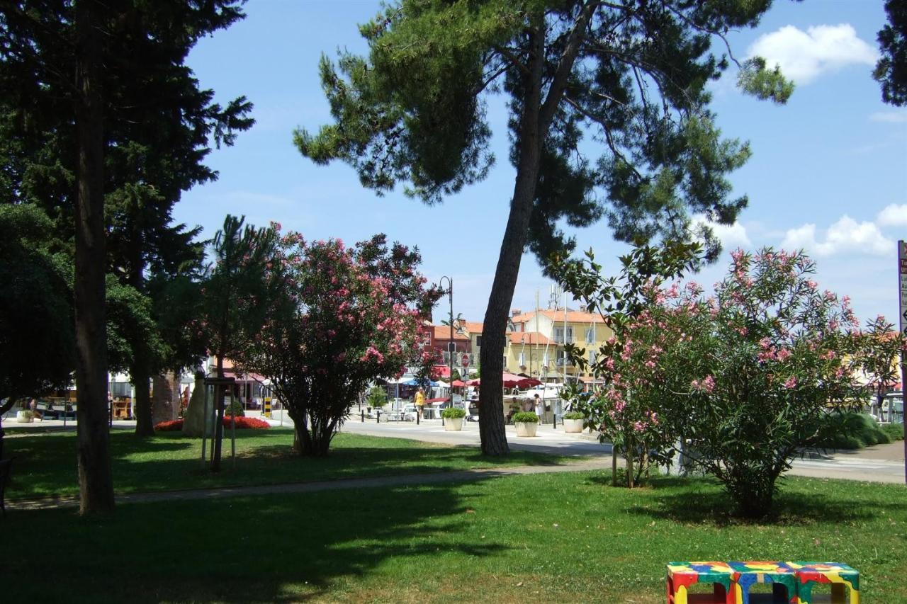 Tamaris, 600 M From The Beach Novigrad Istria المظهر الخارجي الصورة