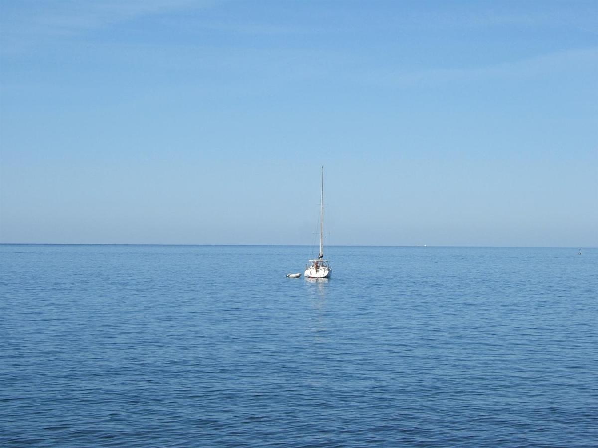 Tamaris, 600 M From The Beach Novigrad Istria المظهر الخارجي الصورة