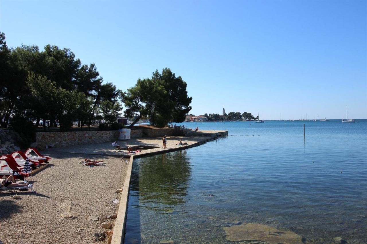 Tamaris, 600 M From The Beach Novigrad Istria المظهر الخارجي الصورة